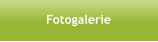 Fotogalerie