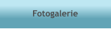 Fotogalerie